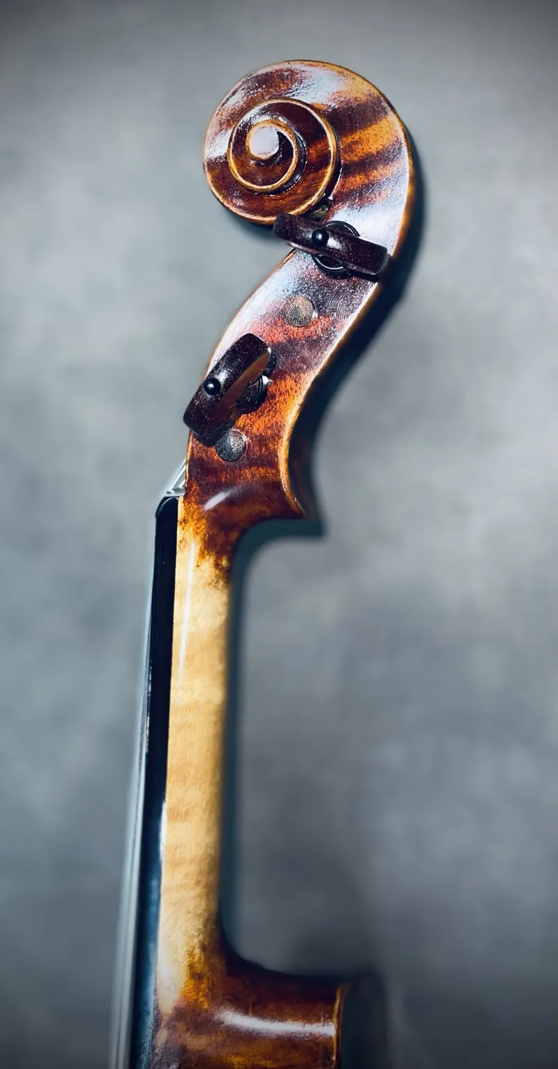 Chardon et Fils Paris 1903 Violin-7